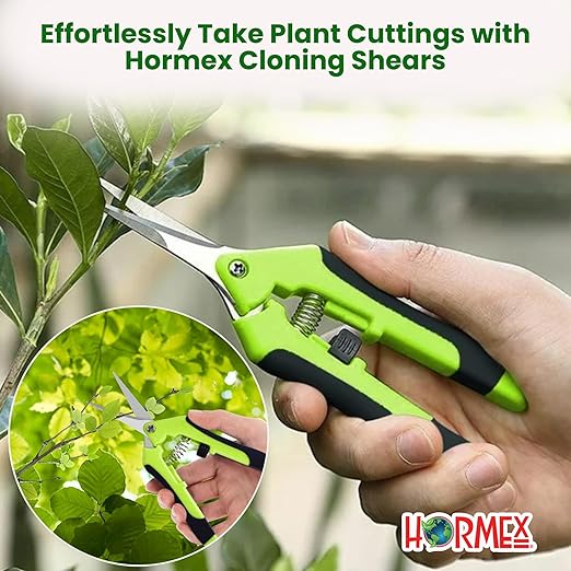 Hormex Rooting Cubes & Cloning Shears Combo - Root Starter Cubes for Houseplants, Herbs, Medicinal & Garden Plants | Precision Straight-Blade Shears, Ideal for Cuttings & Pruning (50 Grow Plugs)