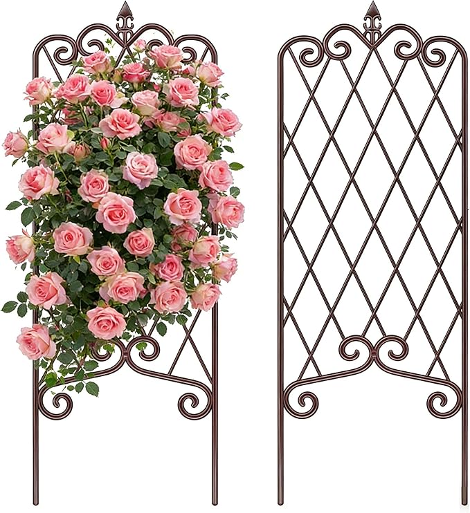 AMAGABELI GARDEN & HOME 2 Pack 60” x 18” Garden Trellis for Climbing Plants Outdoor Garden Fencing Decorative Plant Trellis Vegetables and Rose Trellis for Ivy Cucumbers Brown