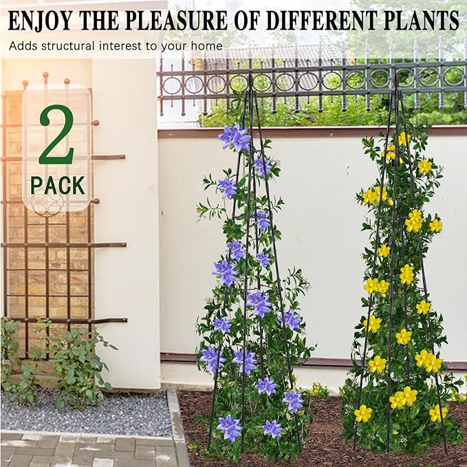 AlisisFores 2 Pack Garden Trellis for Climbing Plants Outdoor,63inch Tall Rustproof Metal Obelisk Trellis Support for Potted Vines Vegetable Plants Indoor Outdoor, Lightweight