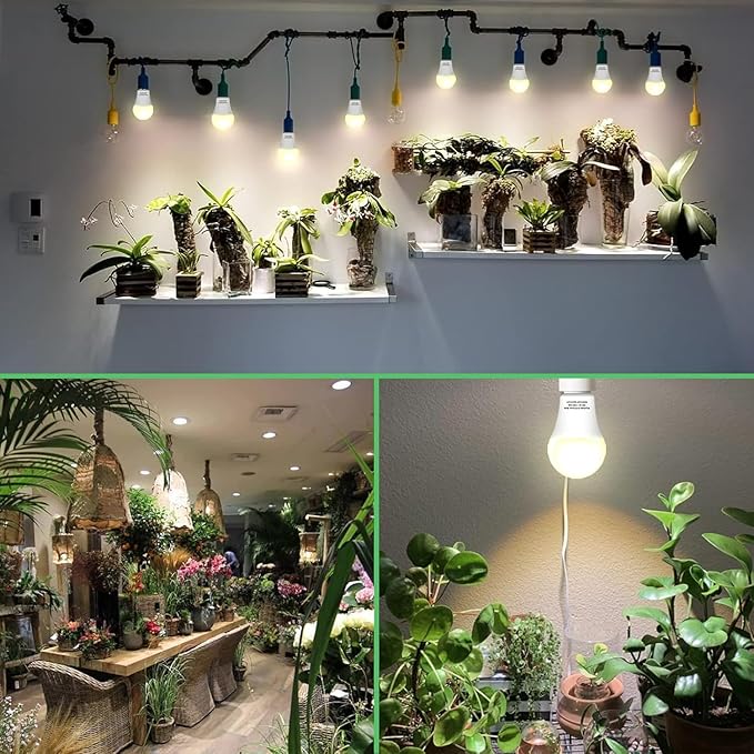 6 Pack Full Spectrum Grow Light Bulbs,A19 Grow Lights for Indoor Plants,Dimmable E26 9W Grow Bulb Replace up to 100W,Plant Lights for Indoor Growing,Flowers,Greenhouse,Indore