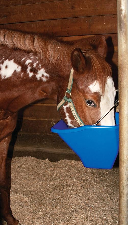 Little Giant® Plastic Better Bucket | Horse Feed Bucket | Ergonomically Designed | Flat Back Bucket | Made in USA | 20 Quarts | Blue