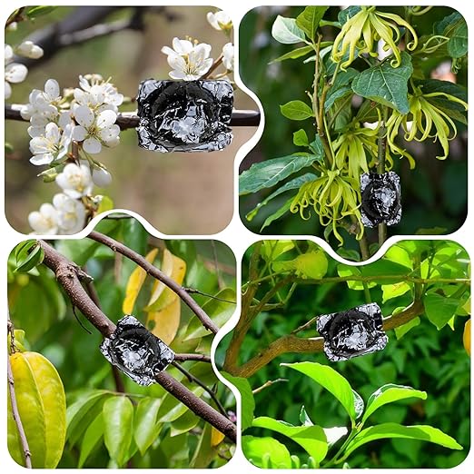 SupKing 8 Pcs Plant Rooting Grow Propagation Ball Air Layering Pods Clear Assisted Cutting Rooting Reusable Plant Rooting Device High Pressure Ball Grafting Device Root Box for Plants