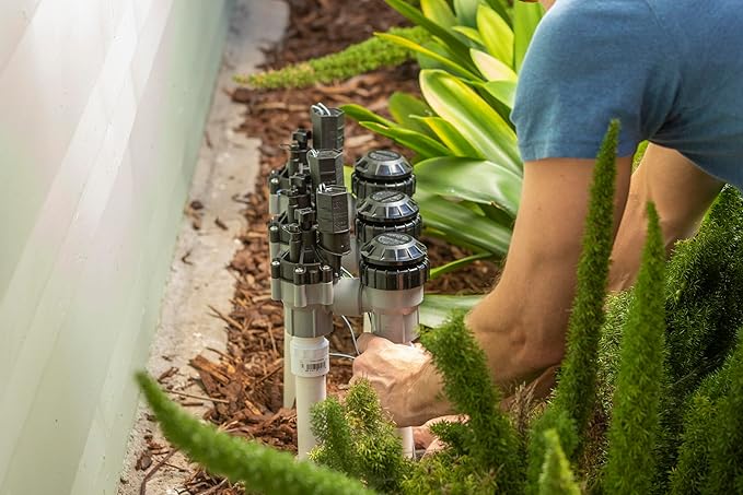 Rain Bird DASASVF100 Professional Grade Anti-Siphon Valve with Flow Control, 1" Threaded Female x Female
