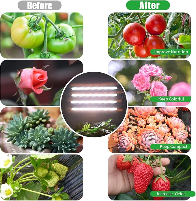 RWNTAO Grow Lights for Indoor Plants, 13" Grow Light Strips with Timer 3/9/12 H, 10 Dimmable Levels, 192 LEDs Full Spectrum Sunlight Plant Growing Lamp for Indoor Greenhouse Seedlings, 4 Head