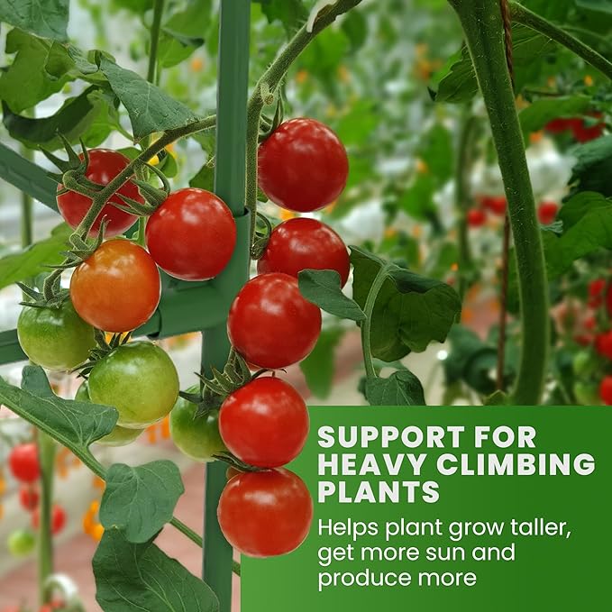 Tomato Cage Square - Large Trellis Stakes and Plant Support Structures for Vegetables and Climbing Plants - Tall Tomato Cages for Garden, Pots, Raised Garden Bed Outdoor Supplies (6 Pack - Up to 58")