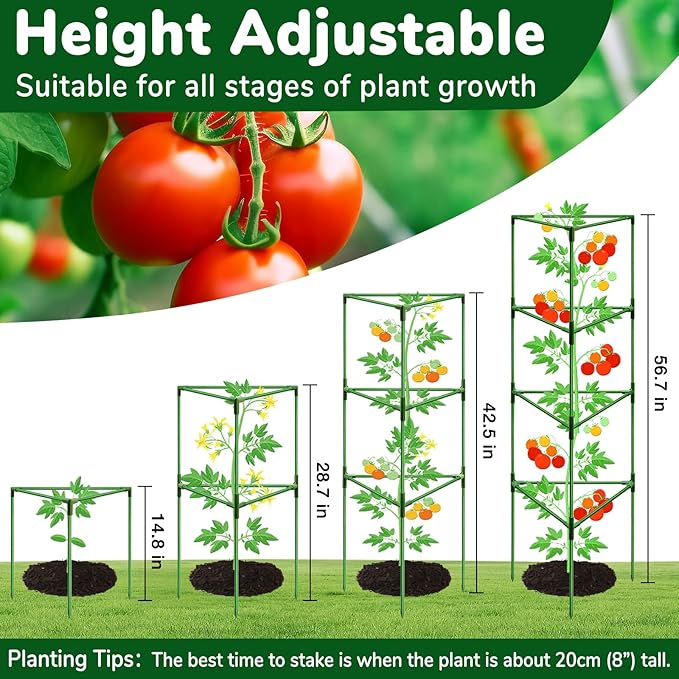 ZeeDix [Upgraded] 2 Pack Heavy Duty Tomato Cages for Garden, 57 Inch Foldable Plant Support Stakes for Heavy Climbing Plants, Adjustable Tomato Trellis for Pots Indoor & Raised Garden Bed Outdoor