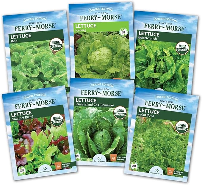 Jiffy Plant Germination Kit - Seedling Starter Trays with Seeds - 36 Cell 2 Pack - Plastic