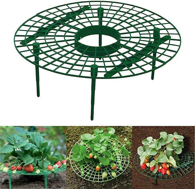 Garden Plant Trellis - Heavy-Duty Gardening Support Stand,Garden Support Strawberry Plant Tray Outdoor Patio Orchard Balcony Gardening Vegetable Flower Vine