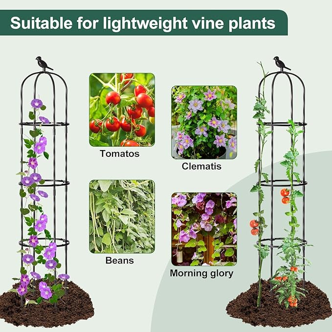 FOLLOOK Garden Obelisk Trellis for Climbing Plants Outdoor, Lightweight Climbing Plant Support Flower Roses Clematis Vegetable Light Vines Round Trellis for Raised Garden Bed Planter, Black, 2 Pack