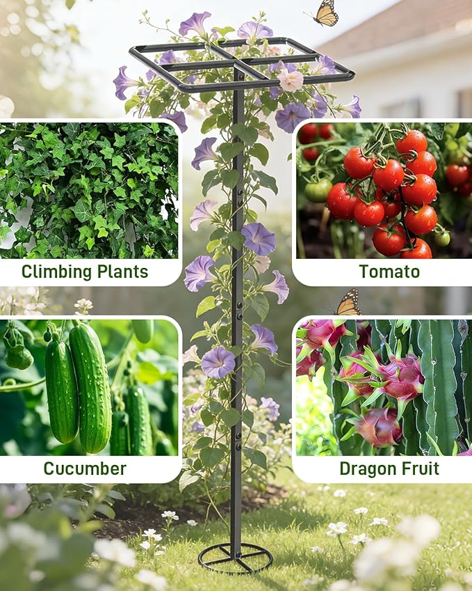 66''×16'' Heavy-Duty Metal Dragon Fruit Trellis, Adjustable Gardening Support Stand for Vertical Climing Plants,Trees,Cactus Garden Outdoor Indoor Potted Support