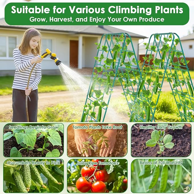 2 Pack 50"x17" Heavy Duty Metal Cucumber Trellis for Raised Bed, A Frame Garden Trellis for Climbing Plants Outdoor, Plant Trellis for Tomato Bean Pea Grape, Adjustable Vegetable Trellis Support