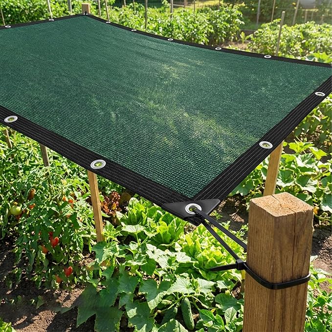 80% Sun Shade Cloth,Pergola Shade Cover Canopy with Grommets,Sun Screen Fabric Tarp for Patio,Outdoor,Garden,Backyard[Green5×10FT]