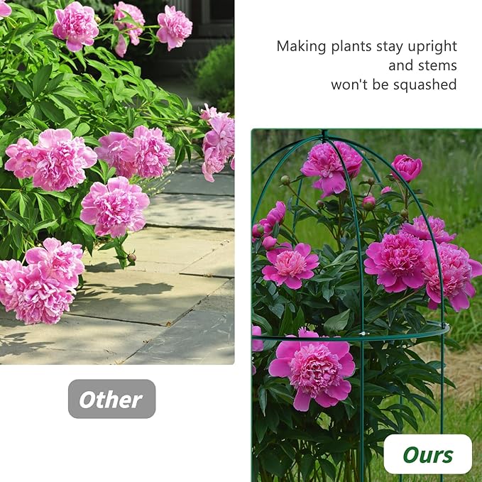 3 Pack Metal Plant Cage Support, 31.5" H Peony Support Tomato Cage Garden Rose Obelisk Trellis Supports Tower for Clematis Vine Jasmine Supports Outdoor Indoor