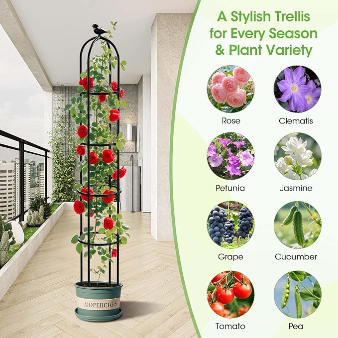 2PCS Updated Garden Obelisk Trellis for Climbing Plants Outdoor, 6.3 FT Tomato Cage, Rose, Flowers, Grape, Pea, Cucumber Trellis, Rustproof Plastic Coated Metal Plant Support Trellis for Potted Plants