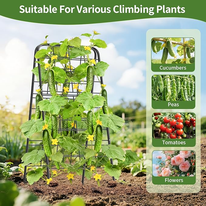 100% Metal Cucumber Trellis for Raised Bed,50"x17" A-Shape Garden Plant Support for Climbing Plants, Heavy Duty Metal Garden Trellises Plant Support for Vine Vegetables Outdoor (Black, 50"x17"(H*W))