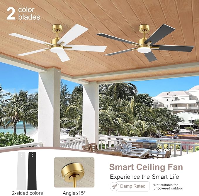 Lorpies 52” Smart Ceiling Fan with LED Lights Remote,Quiet DC Motor,Voice Control via Alexa Google WIFI Phone,Outdoor Indoor Modern Ceiling Fans,Dimmable,for Bedroom Patio Porch,Gold and White Black