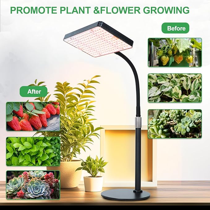 FRGROW 2026 Tabletop Grow Lights for Indoor Plants, Seed Starting, Bonsai, 25 Watt Power Draw, NO Need Adapter, Bright Enough Like A Small Sun, Daisy Chain Function, 16"-24" Height Adjustable