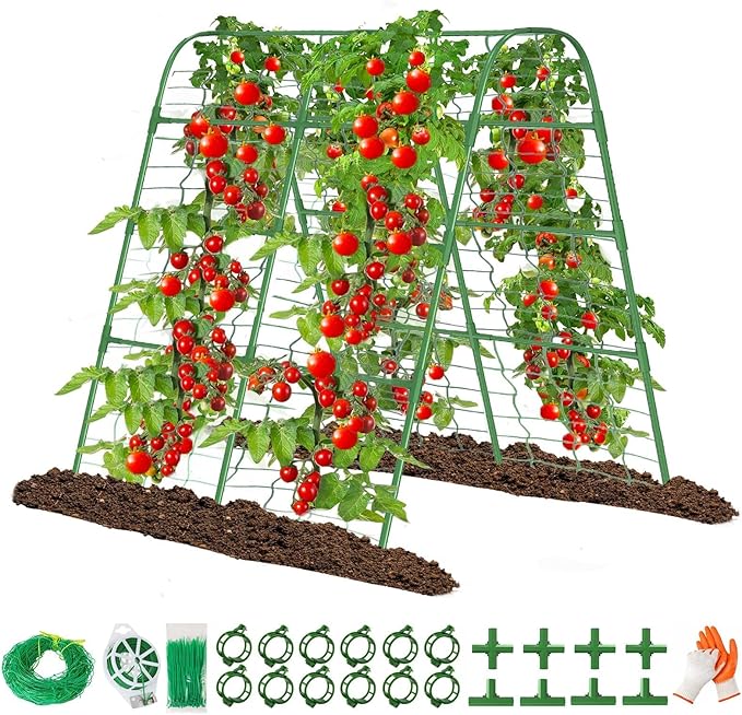 63" Tall Garden Trellis for Raised Bed Metal U-Frame Arch Tunnel Tomato Cage Plant Stakes Support with Garden Netting for Cucumber,Grapes,Peas, Zucchini,Vine,Bean,Flowers
