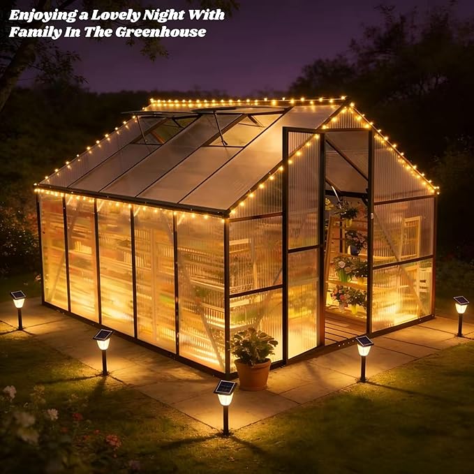 8X 10 FT Greenhouses for Outdoors, Polycarbonate Greenhouse with PC Panels, Greenhouses for Outdoors for Yard, Garden, Hobby, Dark Gray