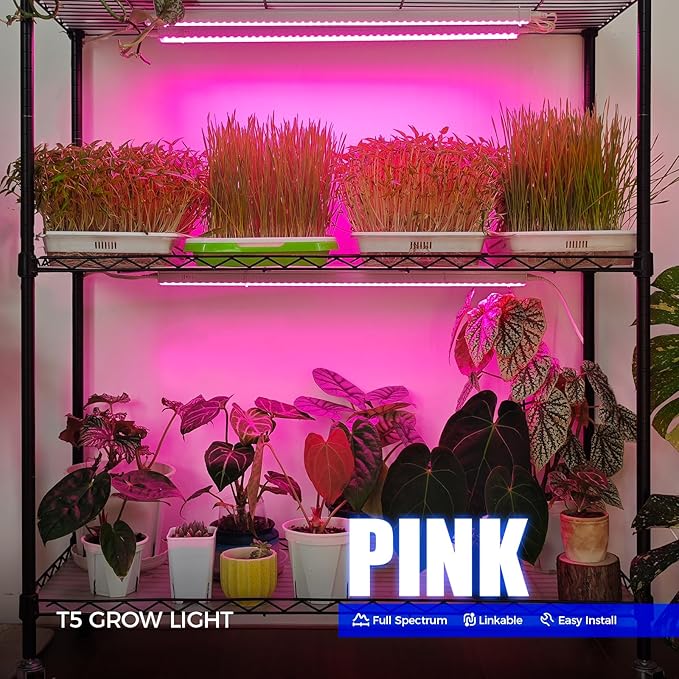 Barrina T5 Grow Lights, Full Spectrum, 2ft 80W (8 x 10W, 500W Equivalent), T5 LED Grow Light Bulbs, Plant Lights for Indoor Plants, Greenhouse, Plug and Play, Pink, 8-Pack