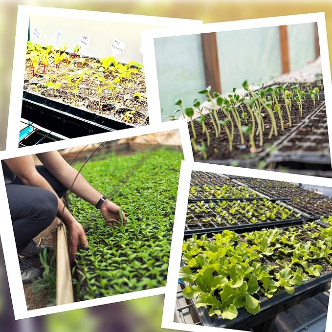 Oscorna (20Pack) 72-Cell Seed Starter Trays with Dibber, 10 Pack Nursery Starting with Base Tray, 72 Hole Soil Digger for Setting Out Quickly, Seedling Planting Tray, Germination Kit Trays Reusable