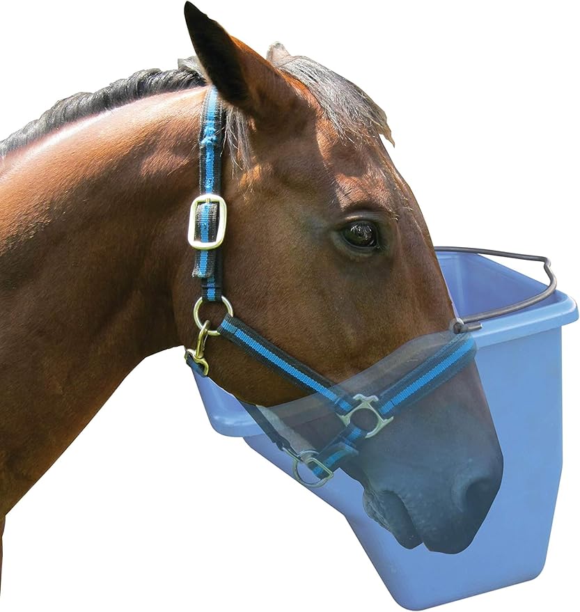 Little Giant® Plastic Better Bucket | Horse Feed Bucket | Ergonomically Designed | Flat Back Bucket | Made in USA | 20 Quarts | Blue