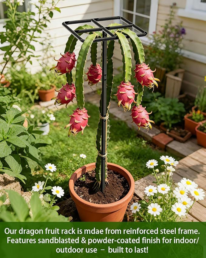 2 Pack 66''×16'' Heavy-Duty Metal Dragon Fruit Trellis, Adjustable Gardening Support Stand for Vertical Climing Plants,Trees,Cactus Garden Outdoor Indoor Potted Support