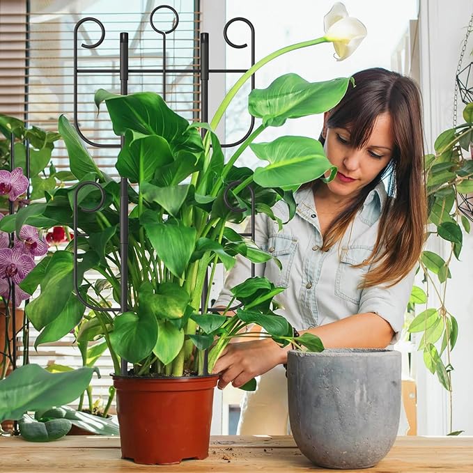 4 Pack Trellis for Climbing Plants Indoor, Expandable Heavy-Duty Metal Trellis for Potted Plants Outdoor, Flowers Vine Ivy, Sturdy Houseplant Pothos Plant Climber Support