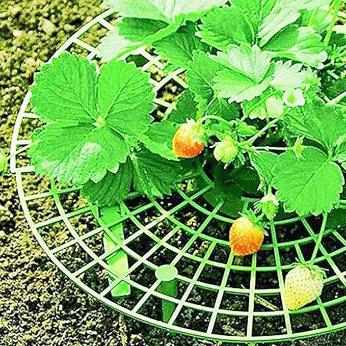 Garden Plant Trellis - Heavy-Duty Gardening Support Stand,Garden Support Strawberry Plant Tray Outdoor Patio Orchard Balcony Gardening Vegetable Flower Vine