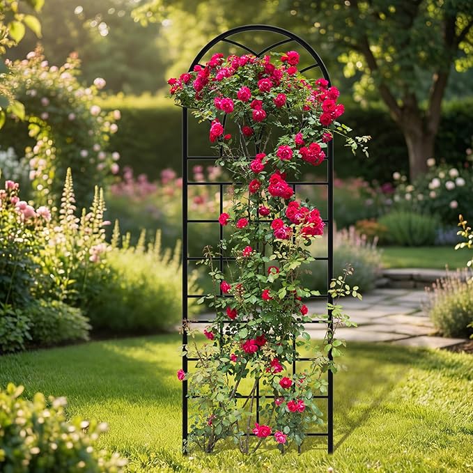 Garden Trellis for Climbing Plants, 6 Pack 75.6" Wx 64.6" H Rustproof Flower Trellis with Black Coating, Outdoor Climbing Rose Trellis Cucumbers Support for Courtyards Lawns (Square Grid, 6 Pieces)