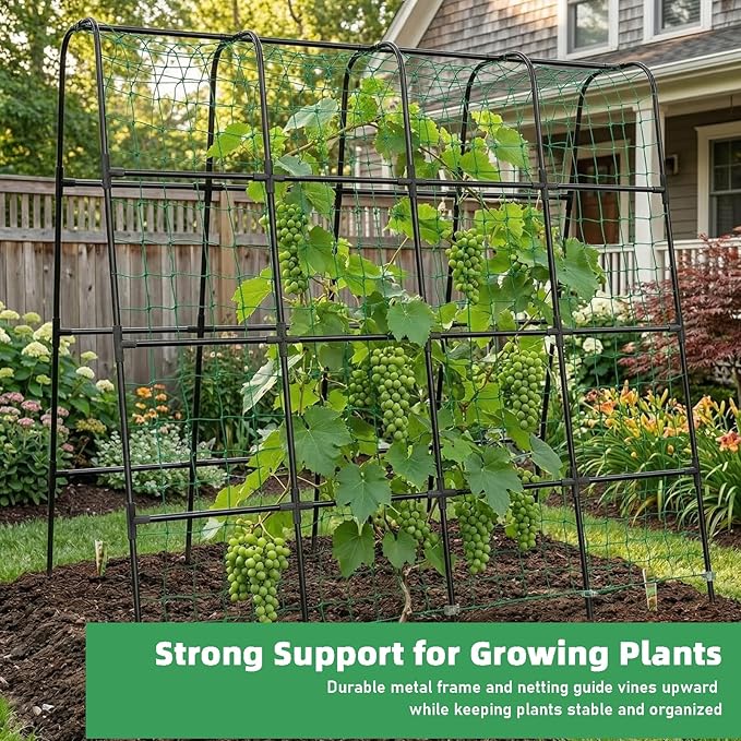 Garden Arch Trellis for Climbing Plants, Plastic-Coated Steel Trellis with Easy-Connect System, Includes Net, Ties & Gloves, Outdoor Plant Support for Vegetables (63" L x 63" H)