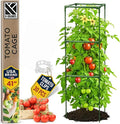 Tomato Cage Square - Large Trellis Stakes and Plant Support Structures for Vegetables and Climbing Plants - Tall Tomato Cages for Garden, Pots, Raised Garden Bed Outdoor Supplies (1 Pack - Up to 41")