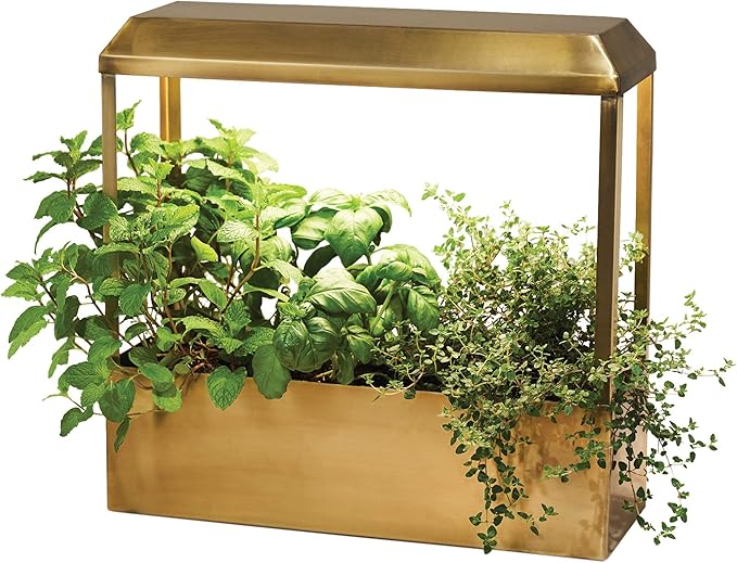 Modern Sprout Smart Growhouse LED Grow Light for Indoor Plants- Plant Grow Light Indoor Gardening System & Herb Garden Kit w/Smart App -Decor Countertop Planter for Herbs, Gift for Mother's Day- Brass