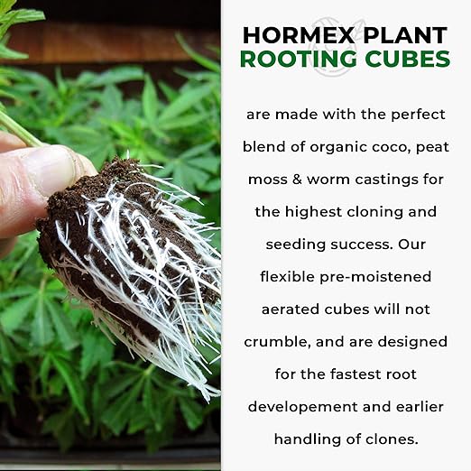 Hormex Rooting Cubes & Cloning Shears Combo - Root Starter Cubes for Houseplants, Herbs, Medicinal & Garden Plants | Precision Straight-Blade Shears, Ideal for Cuttings & Pruning (50 Grow Plugs)