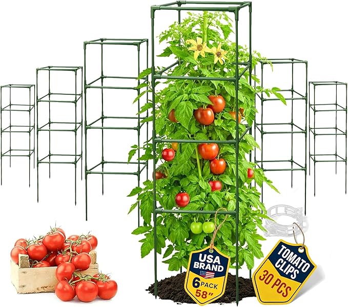Tomato Cage Square - Large Trellis Stakes and Plant Support Structures for Vegetables and Climbing Plants - Tall Tomato Cages for Garden, Pots, Raised Garden Bed Outdoor Supplies (6 Pack - Up to 58")