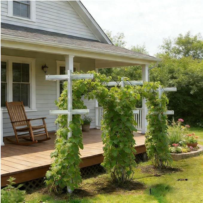 MRGARDEN 7-Feet Grape Vine Trellis 2pcs for Raspberry, Grape Vines, Outdoor Climbing Plants, Heavy Duty Fiberglass Stake Vineyard Trellis Rust-Proof, Easy to Install Garden Trellis