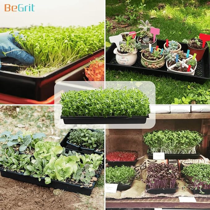 BeGrit 1020 Mesh Trays 1020 Trays with Holes Mesh Bottom Tray for Microgreen Seed Starting Germination Propagator Tray 10'' x 21'' 6-Pack