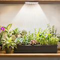Under Shelf Grow Light, USB Powered Adhesive Stick On LED Under Cabinet Puck Light with Timer, Full Spectrum High PPFD Small Plant Light for Shelves, Indoor Plants, Terrarium, Display Case (3500K)