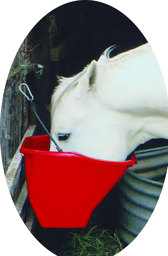 Little Giant® Plastic Better Bucket | Horse Feed Pail | Ergonomically Designed | Flat Back Bucket | Made in USA | 10 Quarts | Red