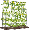 71" x 71" Cucumber Trellis for Raised Bed, Garden Arch Trellis Metal Plant Support Frame with Netting, Sure-Clips & Ground Stakes, U-Shaped Garden Trellis for Climbing Plants Outdoor