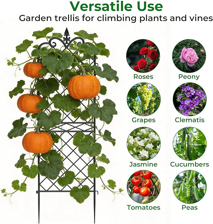 Amagabeli Garden Home 4 Pack Trellis for Climbing Plants Outdoor 71”x20” Heavy Duty Rustproof Wall Metal Decoration Large Trellis for Potted Plants Support Trellis for Roses Vegetable Black
