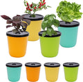 Kratky Method Hydroponic Planter Kit, 8 Hydroponic Planter Plus 24 Growing Sponges for Herbs, Hydroponic Mini Buckets for Windowsill Herb Garden, Hydroponic Growing System for Vegetables