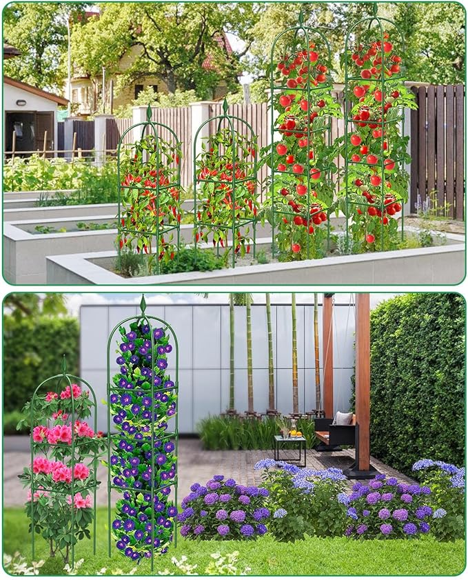 MYMULIKE 3 Pack Garden Obelisk Trellis for Climbing Plants Outdoor & Indoor - 6Ft Rustproof Garden Trellis Plant Support Cage for Vines, Flowers, Vegetables, Roses | Heavy-Duty, Adjustable