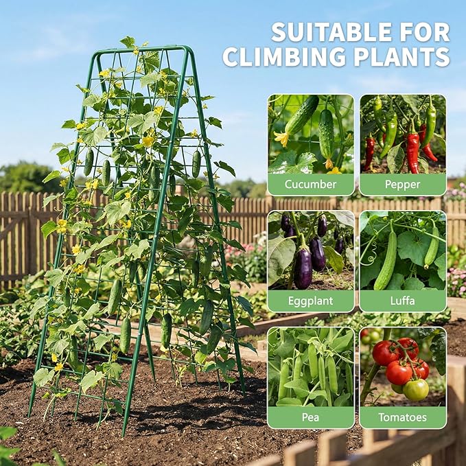 DoCred Cucumber Trellis, 71" H 2 Pack Metal Foldable Upgraded A Frame Garden Trellis for Raised Bed Climbing Plants, Vegetables, Including Plant Support Clips, Twist Ties, Plastic Ties, Green