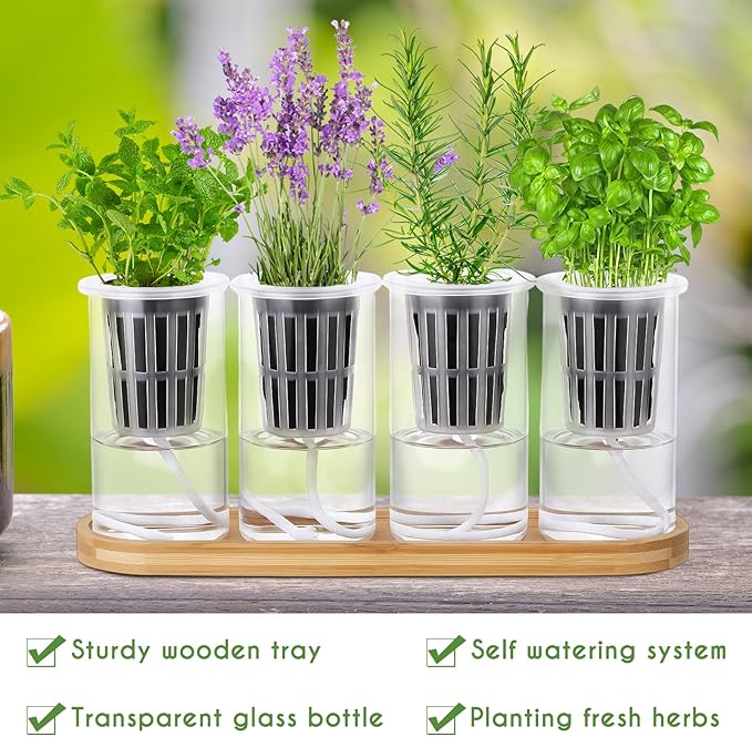 Teenyyou 8 Pcs Hydroponic Herb Planter Growing Kit Self Watering Glass Vase with Wooden Stand Herb Garden Starter Kit for Propagating Hydroponic Plants Centerpiece Office Home Garden Decor