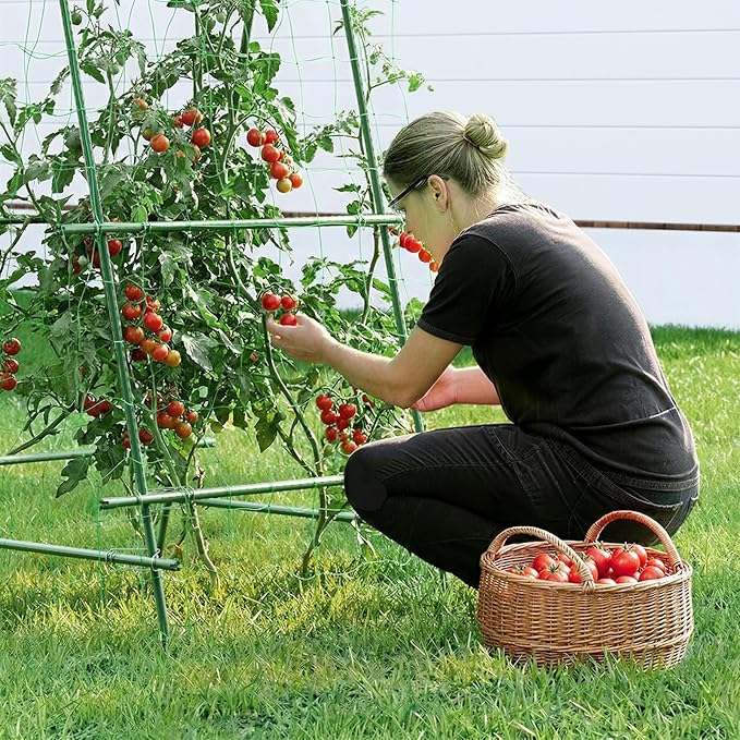HIRALIY A Frame Cucumber Trellis for Climbing Plants Outdoor, 57" x 31" Heavy Duty Metal Garden Trellis, Rustproof Plant Support for Tomato, Grape, Bean, Raised Bed and Vegetable Gardens, Green