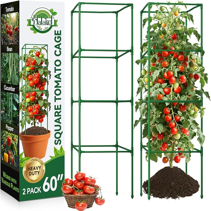Halatool 2 Pack 60in Square Tomato Cages for Garden, Heavy Duty Adjustable Metal Tomato Trellis for Climbing Plants – Green Plant Support Stakes for Vegetables Flowers Fruits & Raised Bed Outdoor