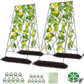 DoCred Cucumber Trellis, 2 Pack Metal Foldable A Frame Garden Trellis for Raised Bed Climbing Plants, Vegetables, Includes Plant Support Clips, Twist Ties, Plastic Ties, A Frame Trellis, Black