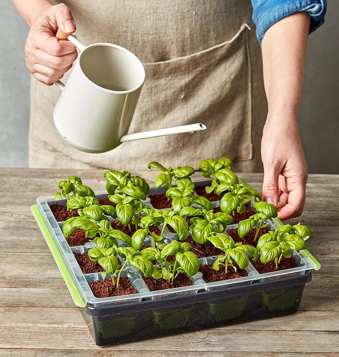 Burpee SuperSeed Starting Tray | 16 XL Cell | Reusable & Dishwasher Safe | for Vegetable, Flower & Herb Seeds | Indoor Grow Kit for Deep-Rooted Seedlings, Green