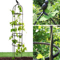 Garden Trellis for Climbing Plants, Rustproof Metal Pipe with Heavy Duty 6ft, Garden Outdoor Indoor Potted Plant Support（Black）